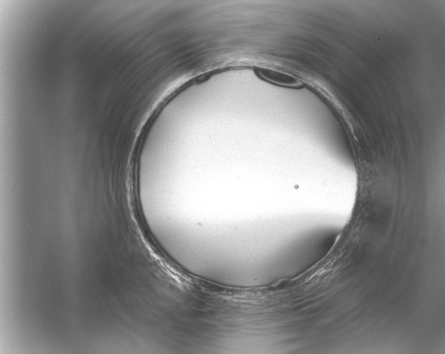 X0000056011048200509162339