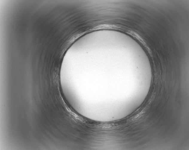 X0000056011049200509162339