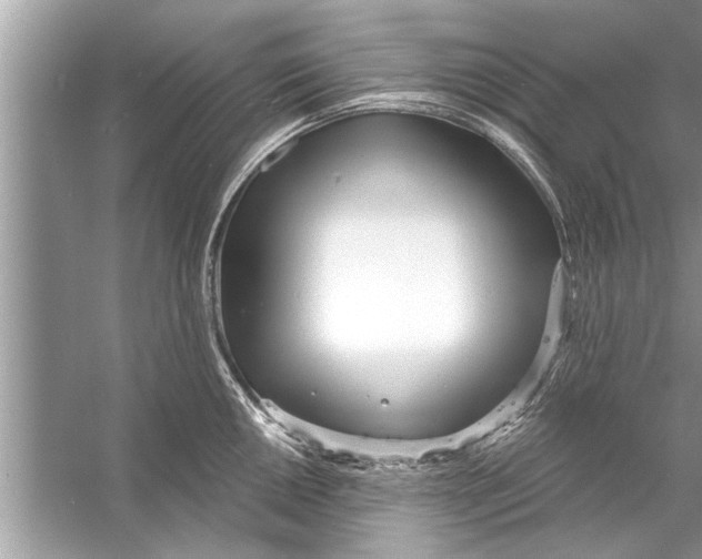 X0000056011050200509162339