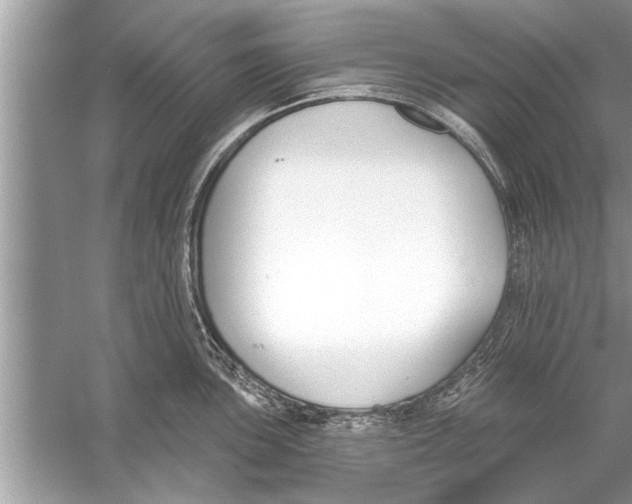 X0000056011051200509162339