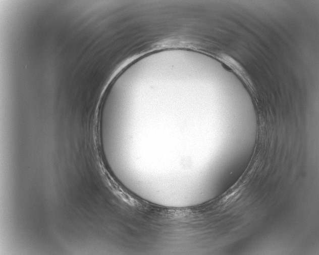 X0000056011052200509162339