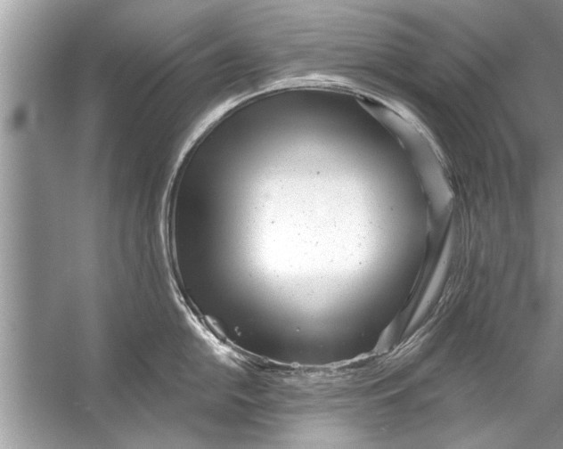 X0000056011054200509162339