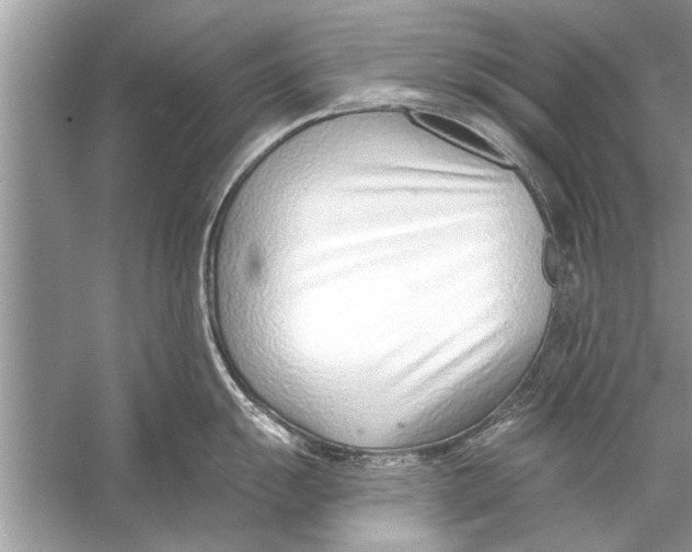 X0000056011055200509162339