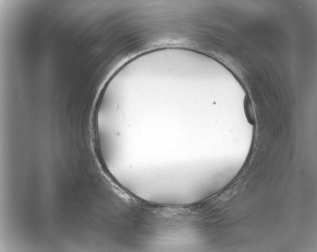 X0000056011056200509162339