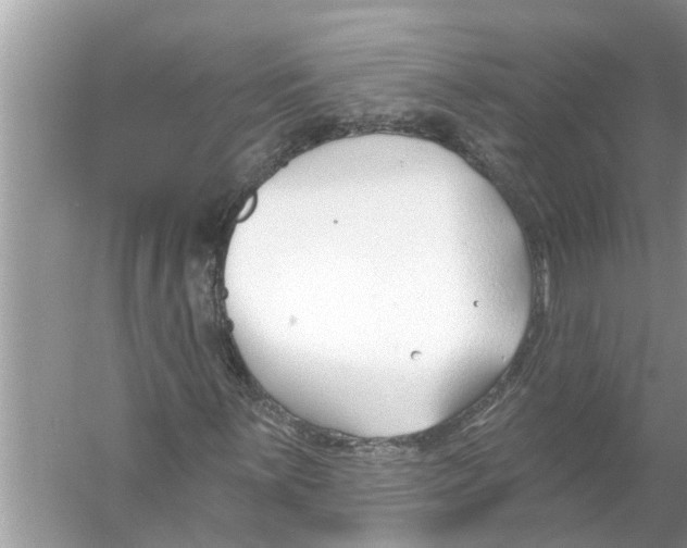 X0000056011059200509162338