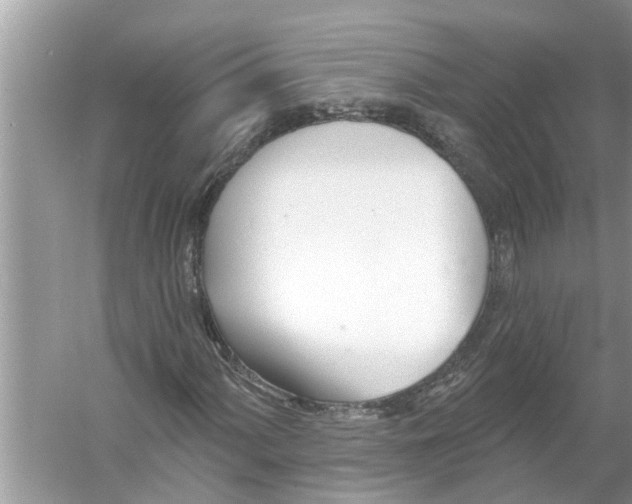 X0000056011060200509162338