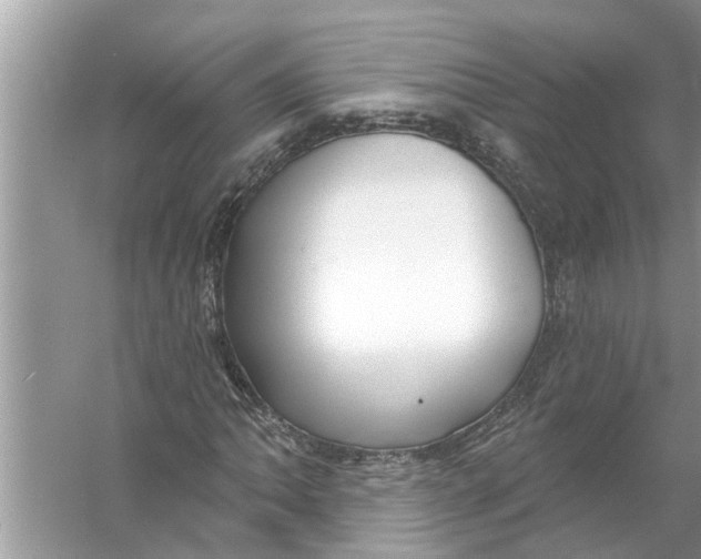 X0000056011062200509162338