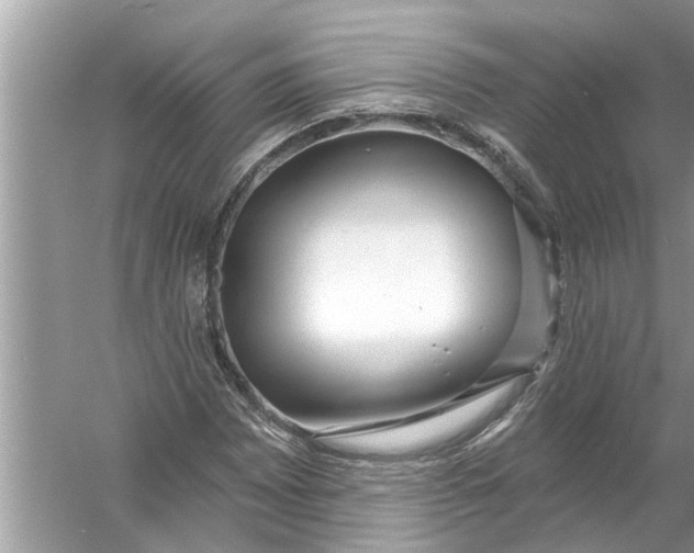 X0000056011065200509162338