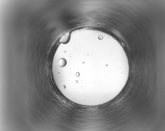 X0000056011067200509162338