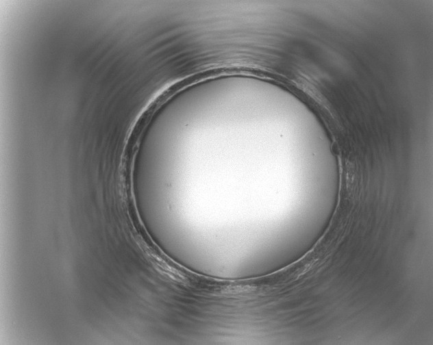 X0000056011068200509162338