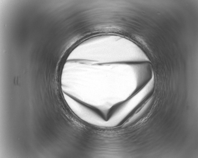 X0000056011071200509162338