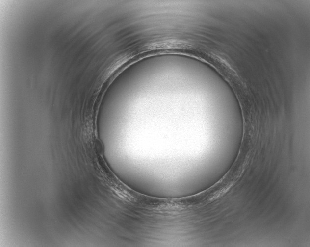 X0000056011073200509162338