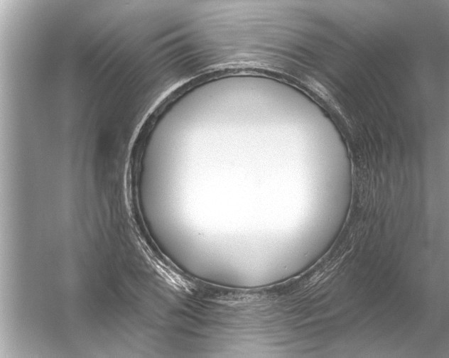 X0000056011076200509162338