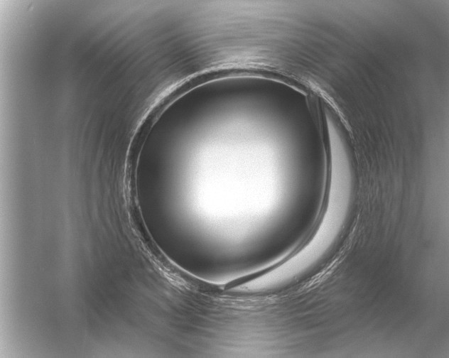 X0000056011077200509162338