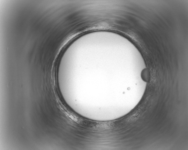 X0000056011078200509162338