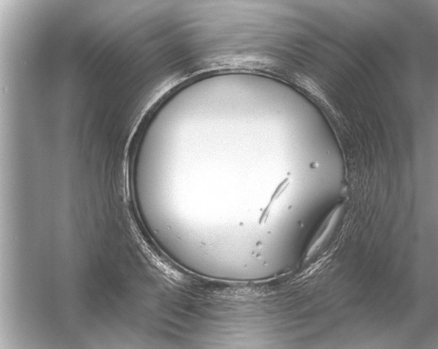 X0000056011079200509162338