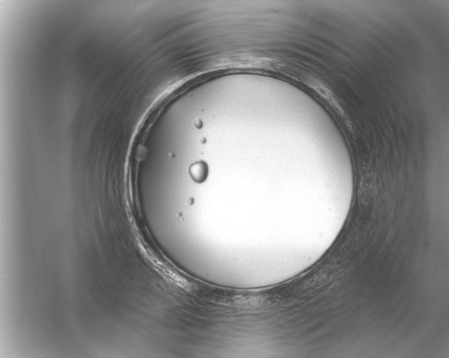 X0000056011080200509162338