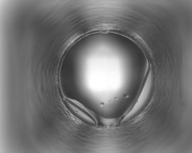 X0000056011081200509162338