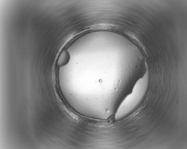 X0000056011083200509162338