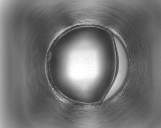 X0000056011085200509162338