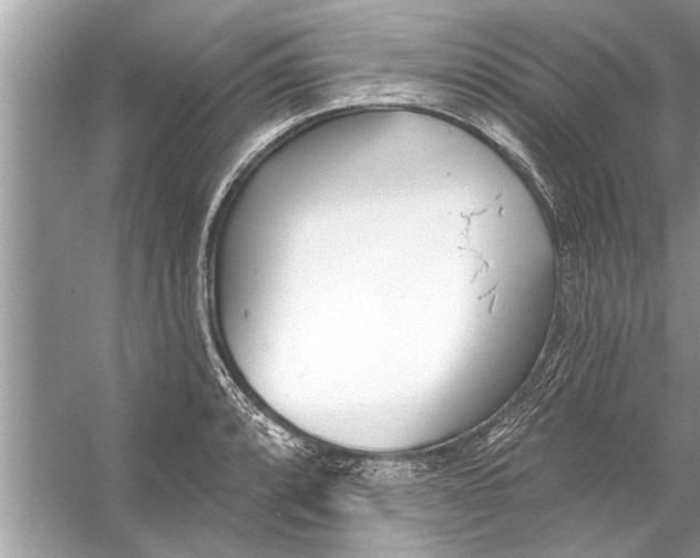 X0000056011088200509162338