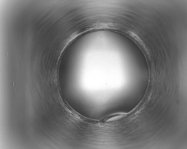 X0000056011089200509162338