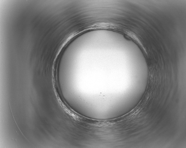 X0000056011091200509162337