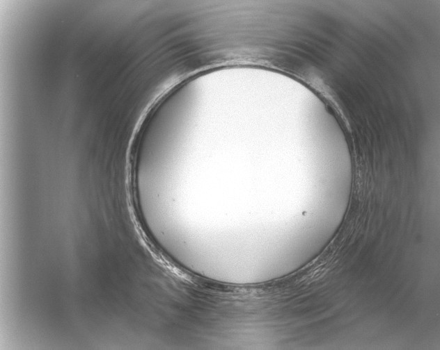 X0000056011096200509162337