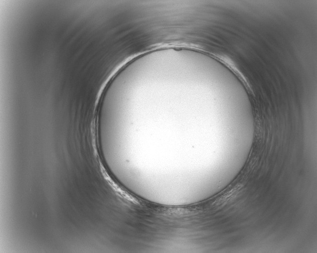 X0000056011100200509162337