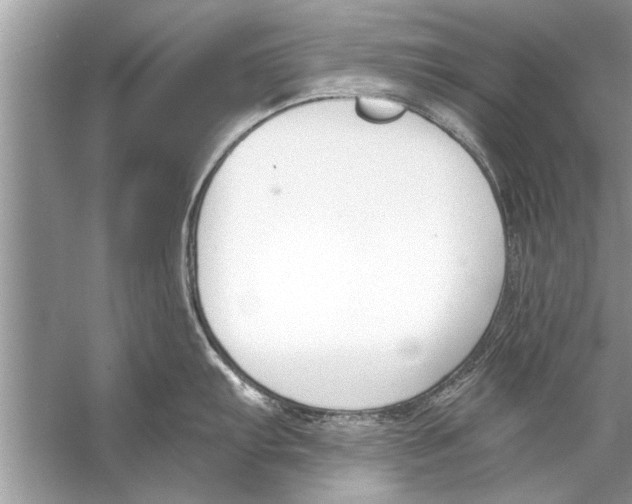 X0000056011103200509162337