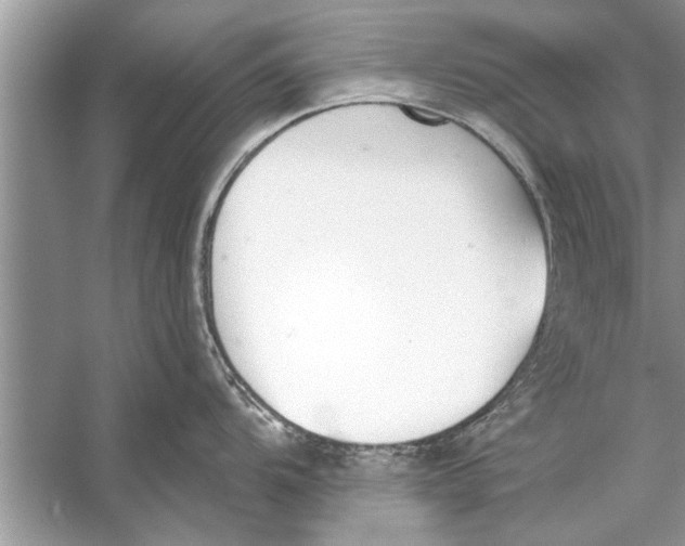 X0000056011104200509162337