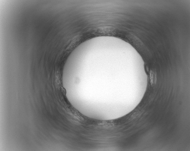 X0000056011107200509162336