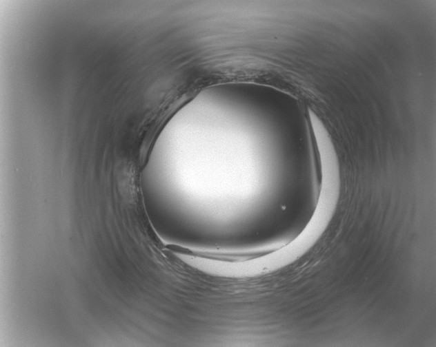 X0000056011108200509162337