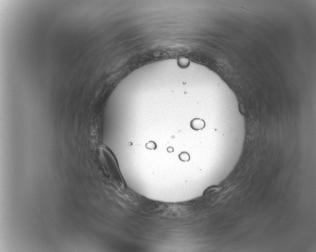 X0000056011109200509162337