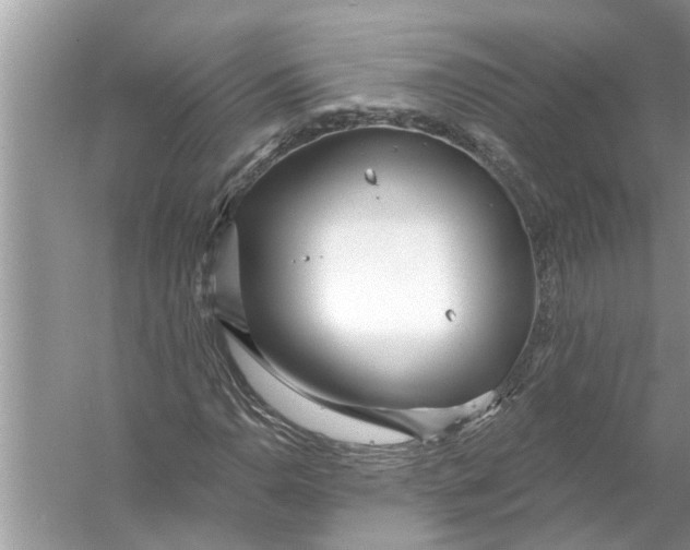 X0000056011110200509162337