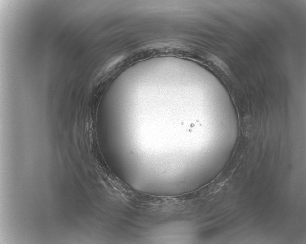 X0000056011111200509162337