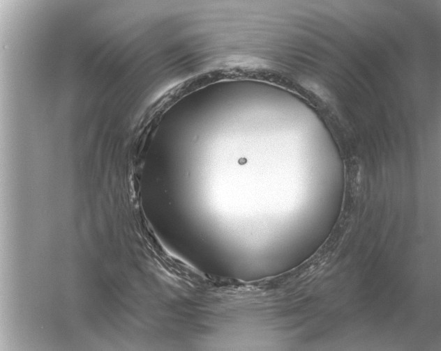 X0000056011112200509162337