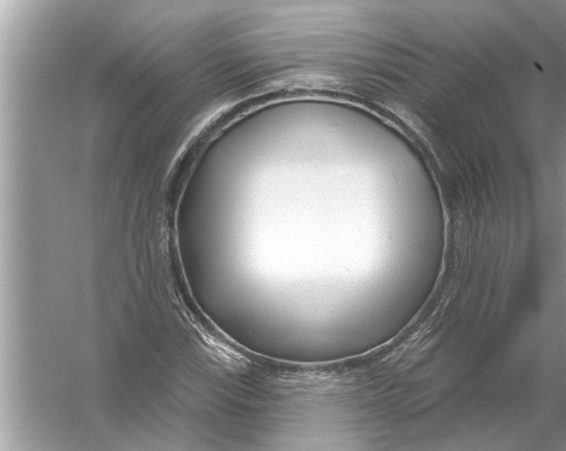 X0000056011115200509162337