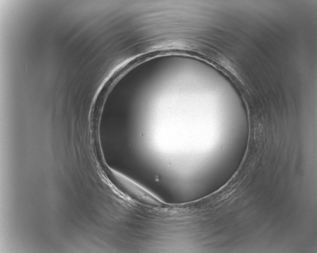 X0000056011116200509162337