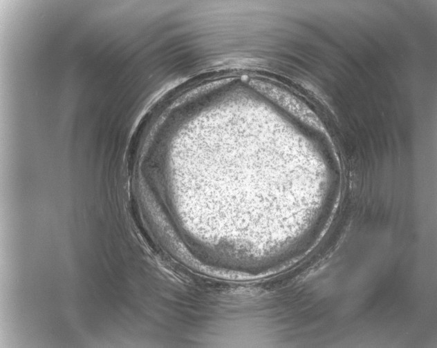 X0000056011117200509162337