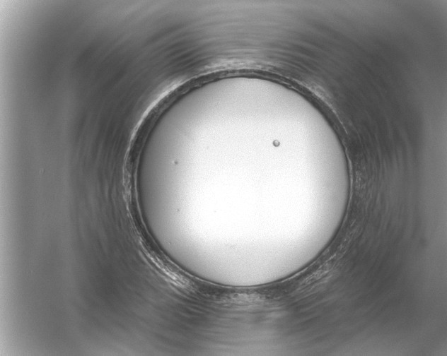 X0000056011119200509162337