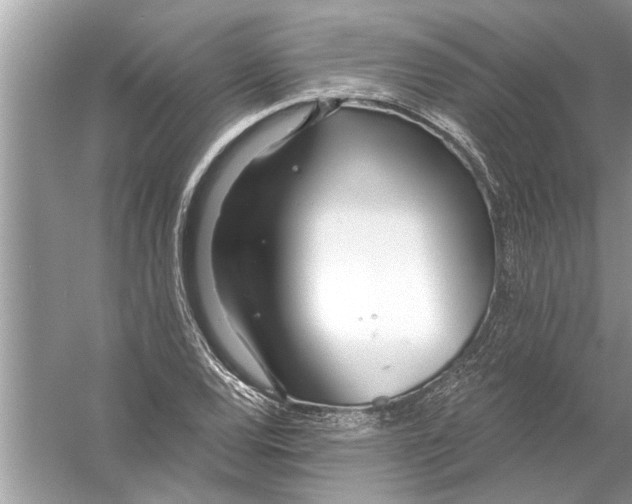 X0000056011120200509162337