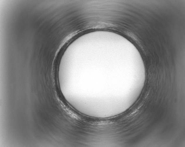 X0000056011122200509162337