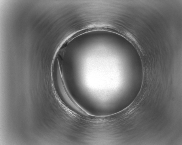 X0000056011124200509162337