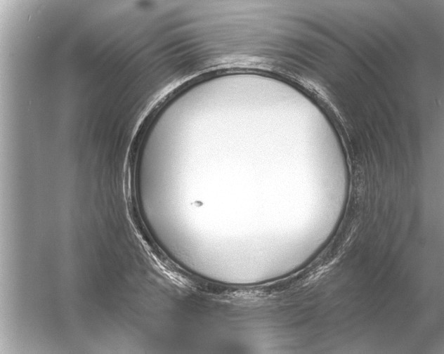 X0000056011125200509162337