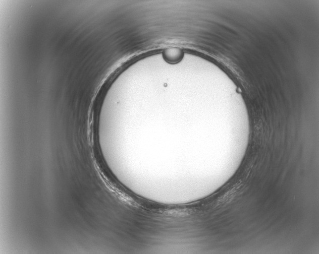 X0000056011126200509162337