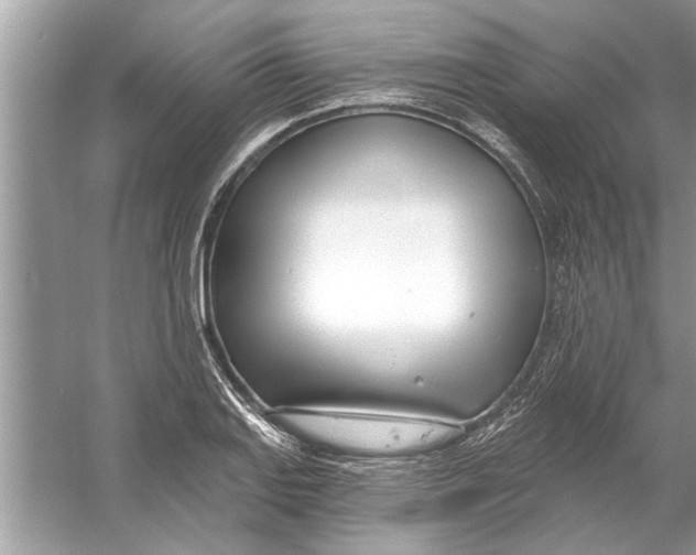 X0000056011127200509162337