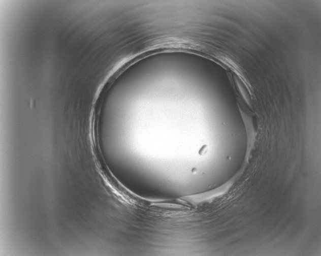 X0000056011128200509162337