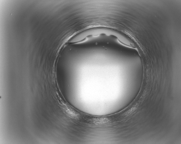 X0000056011129200509162337