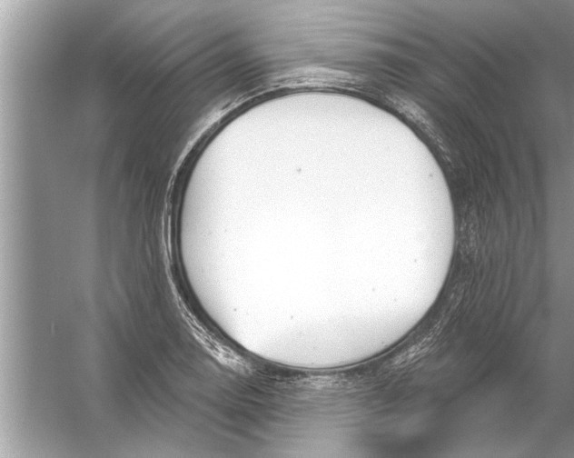 X0000056011130200509162337